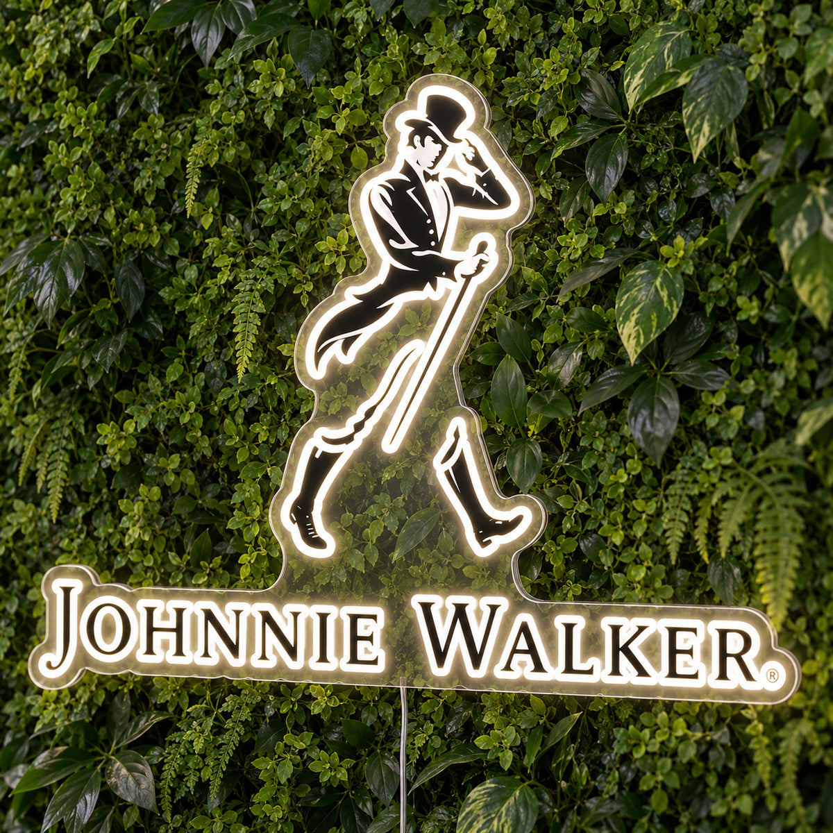 Johnnie Walker LED Neon Sign, featuring illuminated brand logo on a green foliage wall.