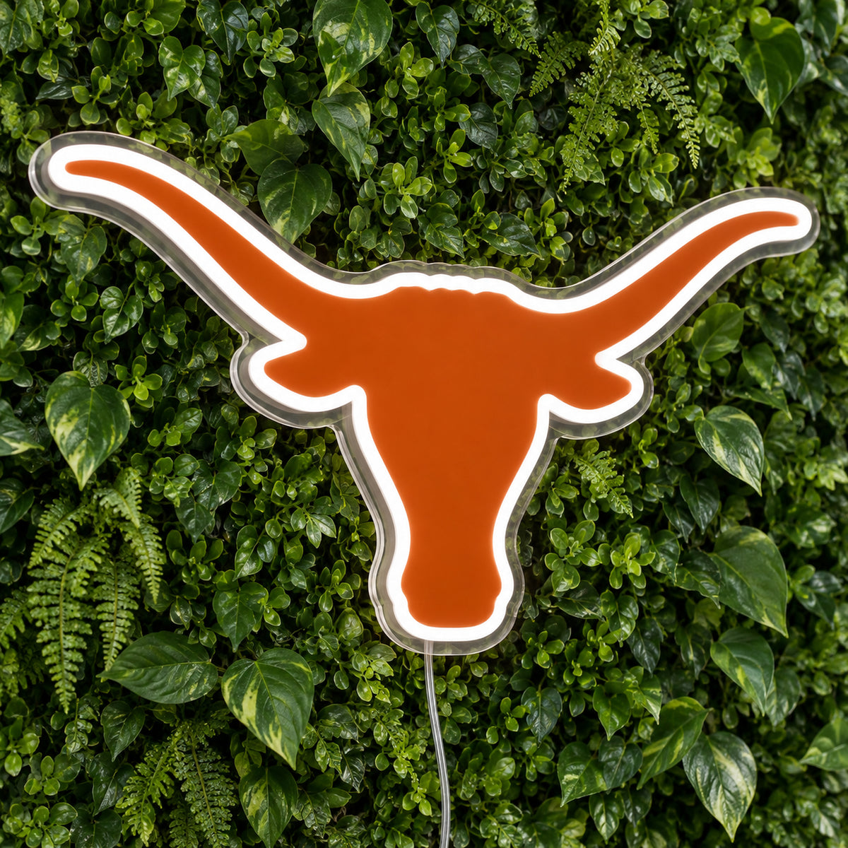 Texas Longhorns LED Neon Sign, featuring illuminated team logo on a green foliage wall.
