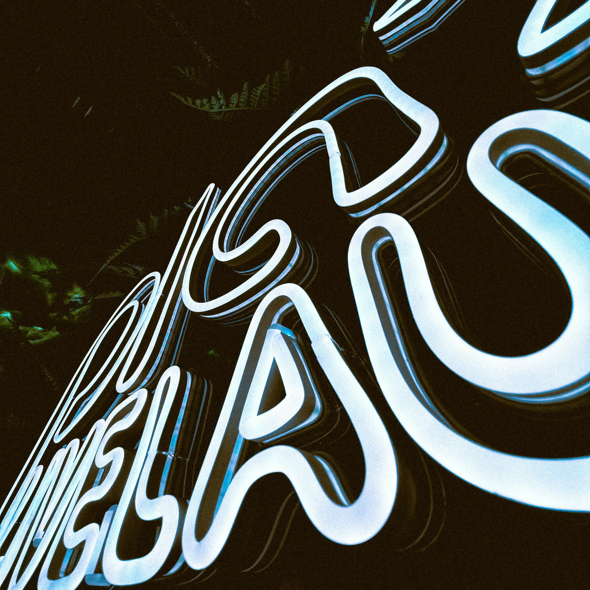 Custom LED neon sign for a Melbourne business, glowing LED neon on a dark feature wall in a Chapel Street boutique